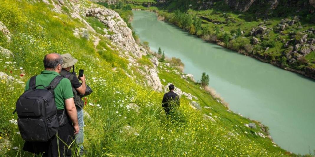 Kaya mezarları ve 5 bin yıllık tarihe ev sahipliği yapıyor! Kızılin Kanyonu bahar renkleriyle boyandı 2